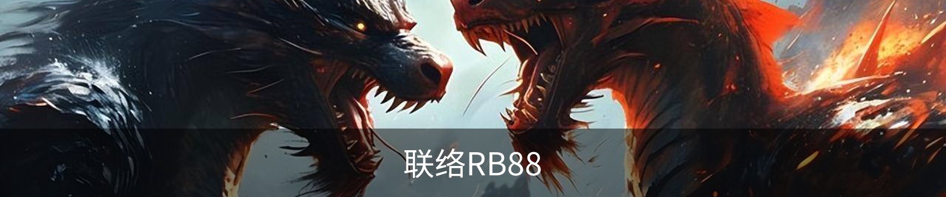 联络RB88